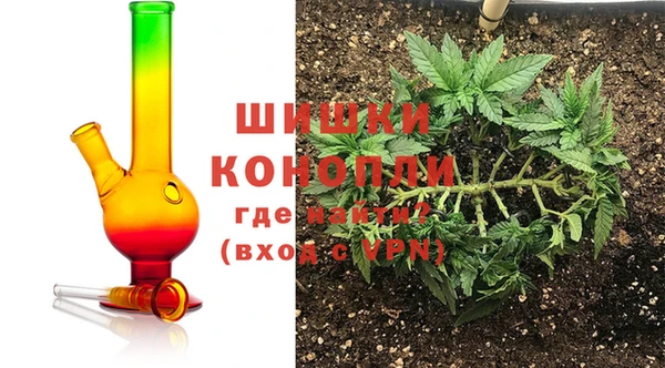 спайс Инта