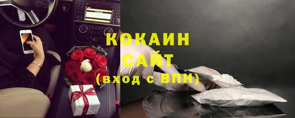 спайс Инта