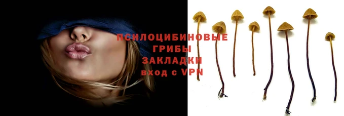 гашиш Инсар