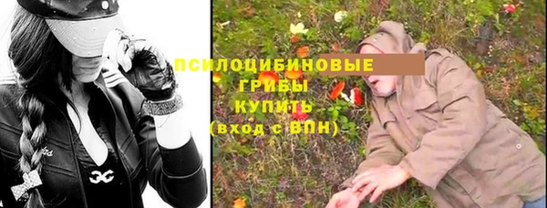 спайс Инта