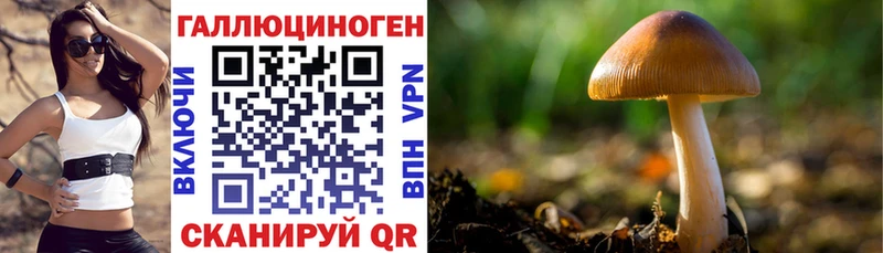 Купить закладки  Жирновск  Галлюциногенные грибы мухоморы 